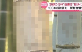 京都の竹林の落書き、とんでもないことになってしまう…犯人あの人達じゃね？