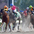 『【平安S結果】59kgも何のその、オメガパフュームが差し切り快勝！』の画像