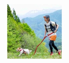 【最新】犬と出られる大会まとめ（マラソン・トレラン・バイクジョアリング）