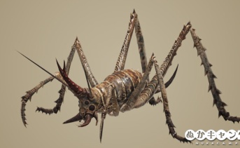 カマドウマ（Cave cricket）