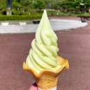 函館「市民の森売店」の期間限定シャインマスカットソフトクリーム！