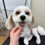 ペットショップワンラブ ホームセンターバロー正木店のスタッフブログ