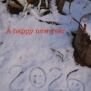 明けましておめでとうございます