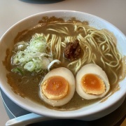 Vol.5313 ����̣���顼��󻳿�