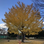 三重県よろずや