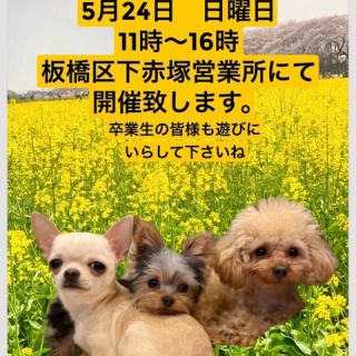 NPO法人ペット里親会