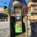 力番写真！発行！