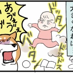 柴犬どんぐり三毛猫たんぽぽ