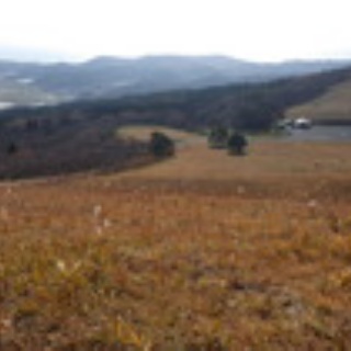 寒風山パラ日記