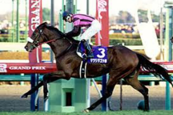 馬主と馬主席と有馬記念 ④ 新年おめでたい回！ : テキサス移住のひき