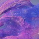 パソコンに慣れてきた