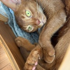 宇宙船の中と外、お昼寝の場所取り合戦