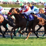 クロミちゃんの競馬日記