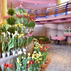 �פ�����ơ֥��������塼��å�🌷 �פȤ��䤹�ߥ��󥰡�Piano Man��