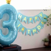 ※猫のことしか書いてません。リンちゃんが『ねこちゃんホンポ』に掲載と、リンちゃん誕生日