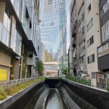 『Shibuya Tokyo 2020 May 1』の画像