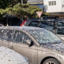 「鳥フン爆弾」に狙われやすい車の色、これだった・・・