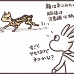 田舎暮らしのこたすぎさんとキィちゃん