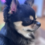 日々のくらし手帖