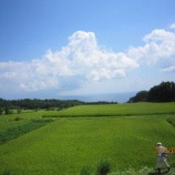 『一問一答(岩﨑)』の画像