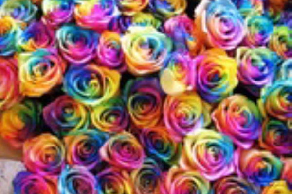 東海市のお花屋さん 誕生日プレゼント みんな幸せになっちゃうフラワーギフト作りたい フラワーガーデンリーブスと申します レインボーローズ