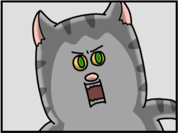 猫にもフレネミーいたわ
