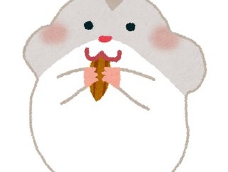 【イタズラ】嫁と丸々と太った真っ白なハムスターを飼い始めた。翌日、小さな白いハムちゃんを購入し、自宅のハムちゃんハウスにこっそり入れておいた…