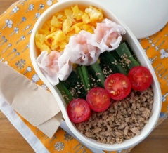 映えるそぼろ弁当、再び