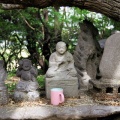黒崎公園と玉垂神社