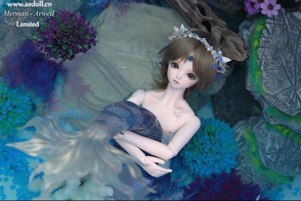 人魚ドール披露しました Legenddoll 幻想