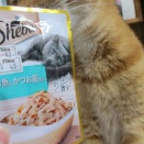 おいしご飯