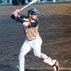 日ハムの野村以外のポジ要素ってなに？