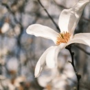 天気が良かったな、今日は。
