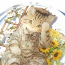８月２９日更新分