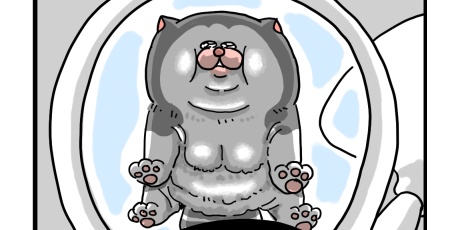 まめきちまめこニートの日常 - ペット Powered by ライブドアブログ