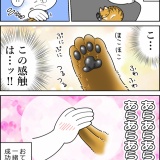 今日、うれしかったこと