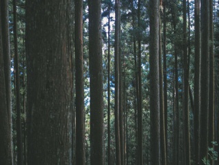 生理休暇すら取りづらい現実…日本はもっと女性が働きやすくなるべきだと痛感した瞬間…