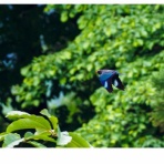 こんな写真×詠んでみた