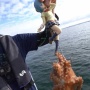 【動画】美樹さやかのフィギュアはめちゃくちゃタコが釣れると判明ｗｗｗｗｗｗｗｗｗ