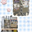 【動物愛護週間】パネル展示@青梅市役所