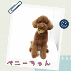 日々、ＪＡＭにあり