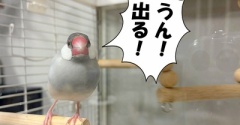 気がつかない弟