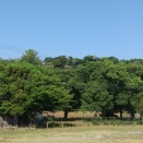 彦根城