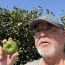 美らかーぎーになってね