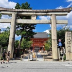 努力の上に花は咲くⅡ
