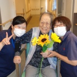 『”夏の風物詩”アイスとヒマワリ✨✨』の画像