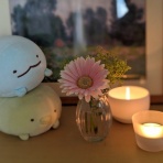 すみっコぐらしのいる生活