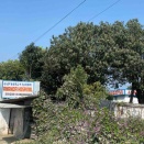 釈迦入滅地の福祉病院