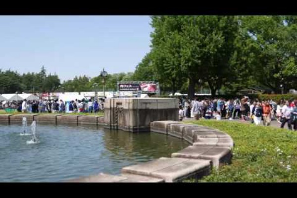 美術品に囲まれる生活 16年11月