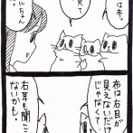 新星☆ベランダからやってきた猫18